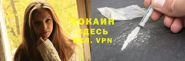 индика Алексеевка
