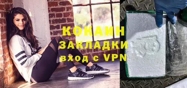 индика Алексеевка