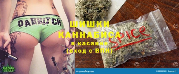 индика Алзамай