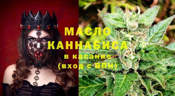 индика Алзамай