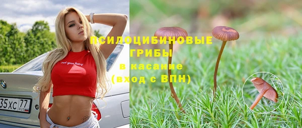 индика Алзамай