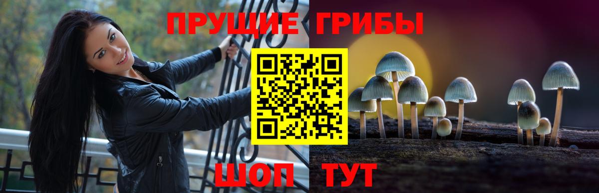 Псилоцибиновые грибы прущие грибы  Галлюциногенные грибы мицелий  Балашов  Вход с VPN 